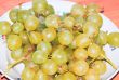 Grapes on the table 