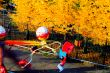 attractions in the park