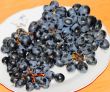 Grapes on the table