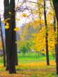 Autumn in the Park 