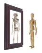 Model Looking into Mirror and Seeing Skeleton