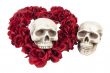 Skulls with Heart of Roses