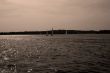 Sail boats