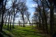 River landscape