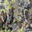 Image of colorful texture