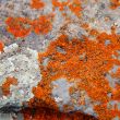 Image of colorful texture