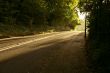 Picturesque autumnal forest on a morning with the sunlight falling on rural lane.