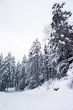 snow machine trail
