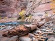 water pool on the rocks