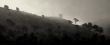 Greek Island Fog