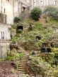 stairs through a garden