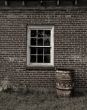 Trash Can and Window