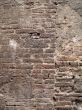 tuscan wall