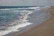 Waves at the Beach