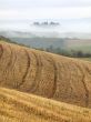Tuscan Fields