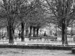 parisian park