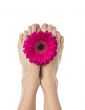 pink flower on feet