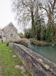 stone wall and willow tree