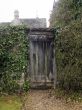 Wooden Gate with Vines