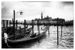 gondolas in venice