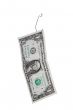 dollar on the fish hook