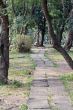 pathway of the park