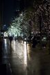 electric lights on trees in new york city at night