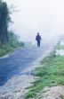Walking a Path