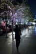 glowing lights on trees in new york city