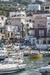 boats at harbor in capri