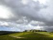 tuscan vineyard with dramatic clouds