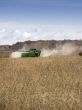 view of a field with tractor