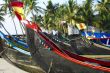 boats and palm trees