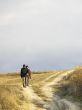 people walking in field