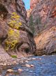 cliffs in zion national park