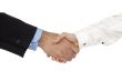 businessperson handshake