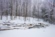 logs in the snow