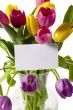 tulips with card in a vase