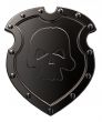 skull on shield