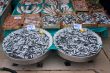Fish Market