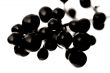 Autumn berries