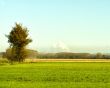 Road in the fields