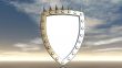 shield with prickles