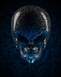 Alien skull