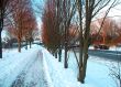 Red snow