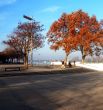 Rhine shore promenade Mainz