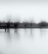 At the pond