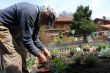 Planting Herbs