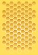 Bee honeycomb