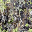 Image of colorful texture